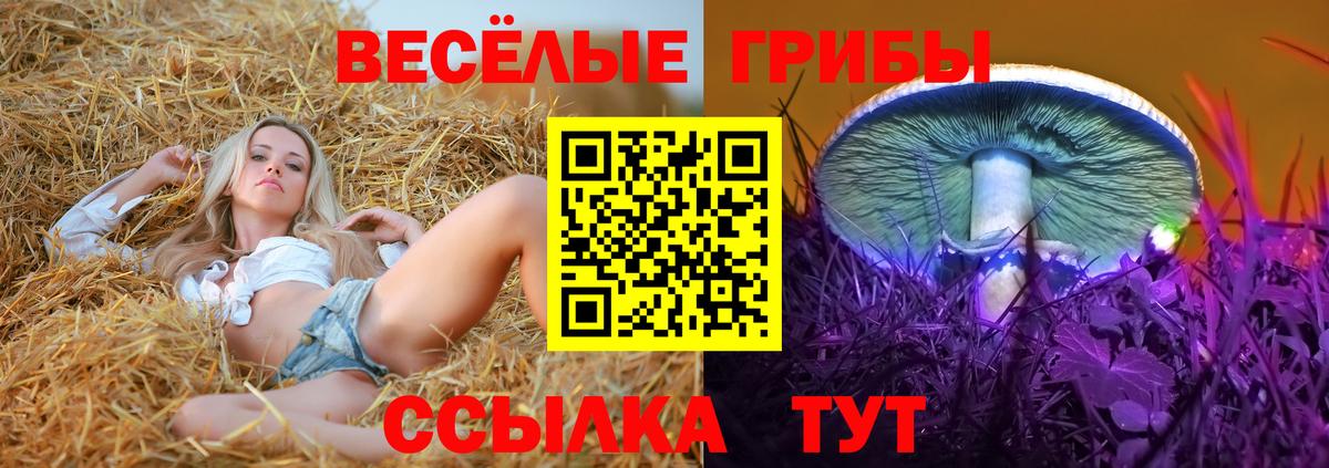 Сосновый Бор  Псилоцибиновые грибы ЛСД  Вход с VPN 